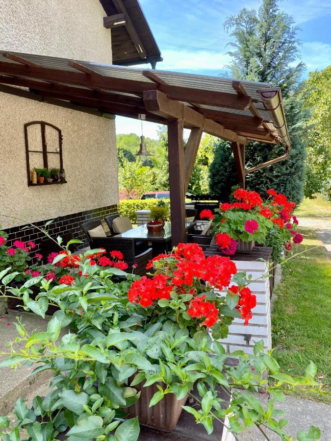 Apartman U Babicky Ceska Skalice Exterior photo